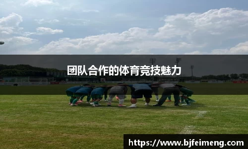 j9九游会入口